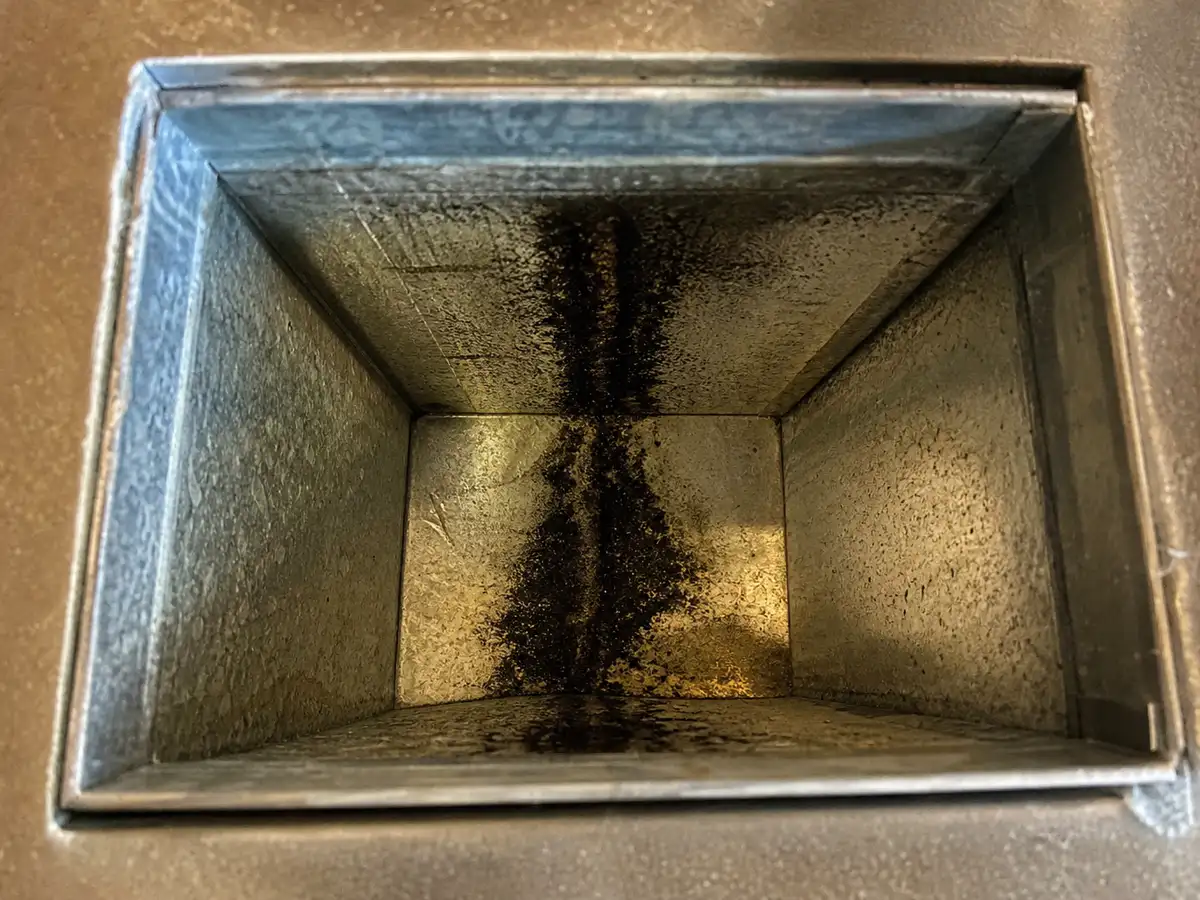 Air Duct Mold Removal in El Dorado Hills, CA